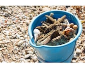 The Beach Pail - Limited Edition Photo - 12x16" Matted