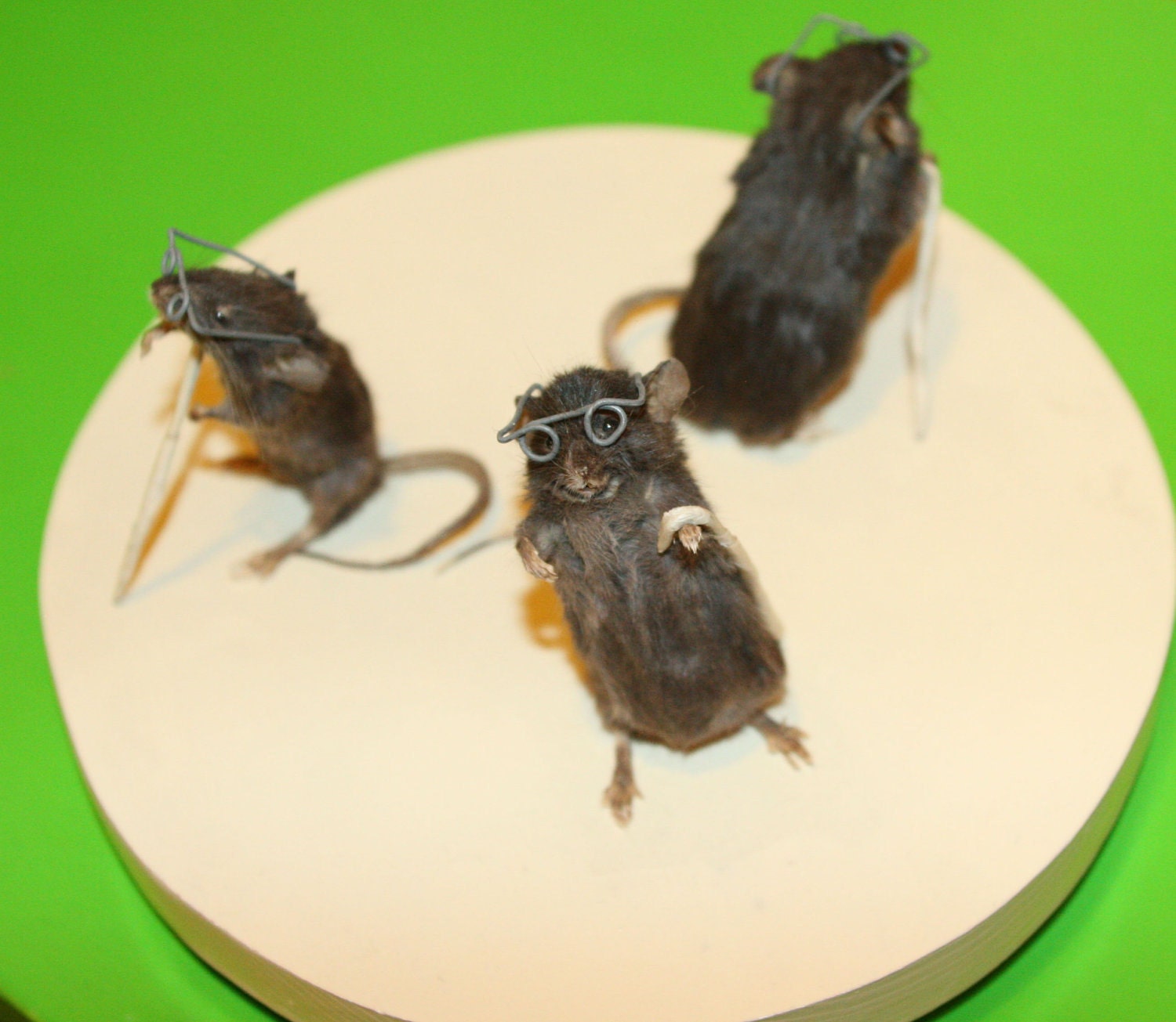 Three Blind Taxidermy Mice