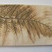 Stoneware ceramic tile with fern design, hand-made in Australia