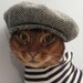 Newsboy Cap for CAT in black/grey herringbone