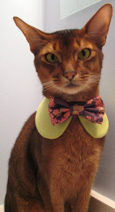 Sweet Round Collar in choice of color or print & interchangeable bow tie
