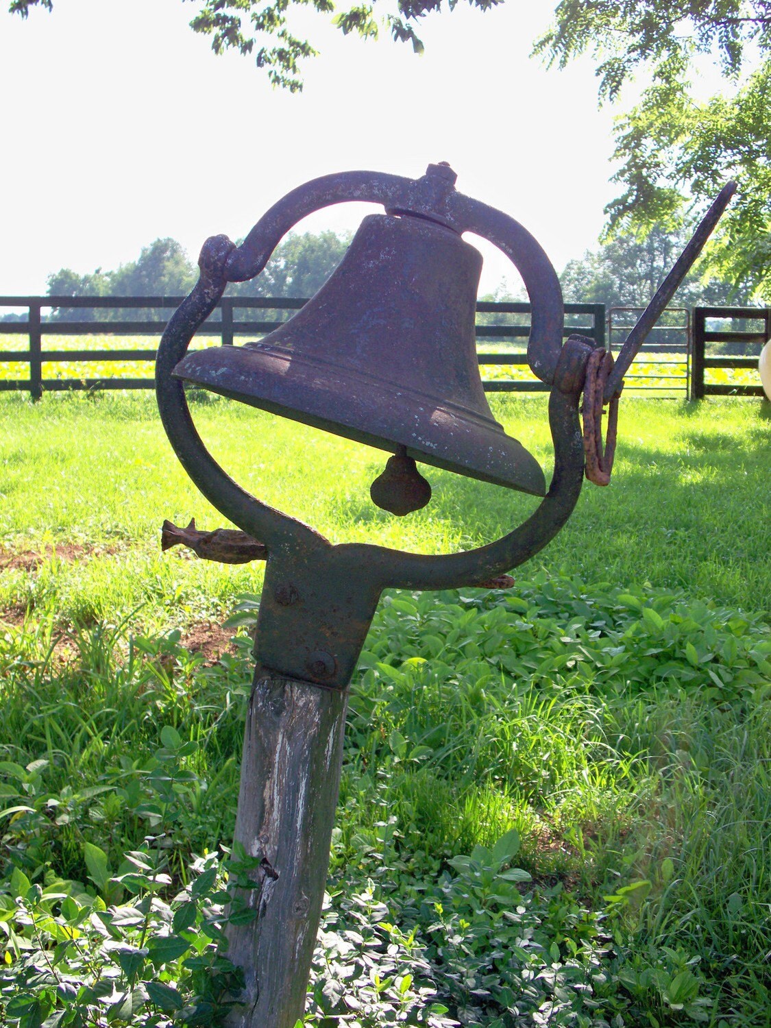 Farm Bell