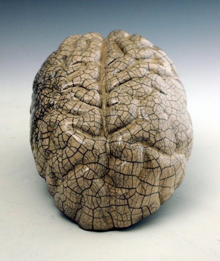raku crackle glaze brain sculpture