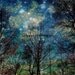 5 x 7 Celestial Fantasy Forest & Sky Night Fine Art Print Also 10x14