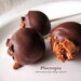 Cake Pops Reese's PEANUT BUTTER, Chocolate, Food, On a stick, Wedding Favor, Edibles,  1 Dozen (12) by Ploctopia