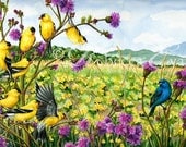 Illustration Art Print of Birds in Meadow 8.5x11