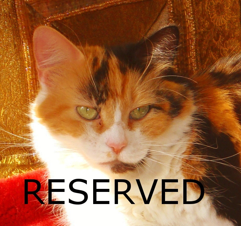 Reserved Listing for corrinajones ONLY