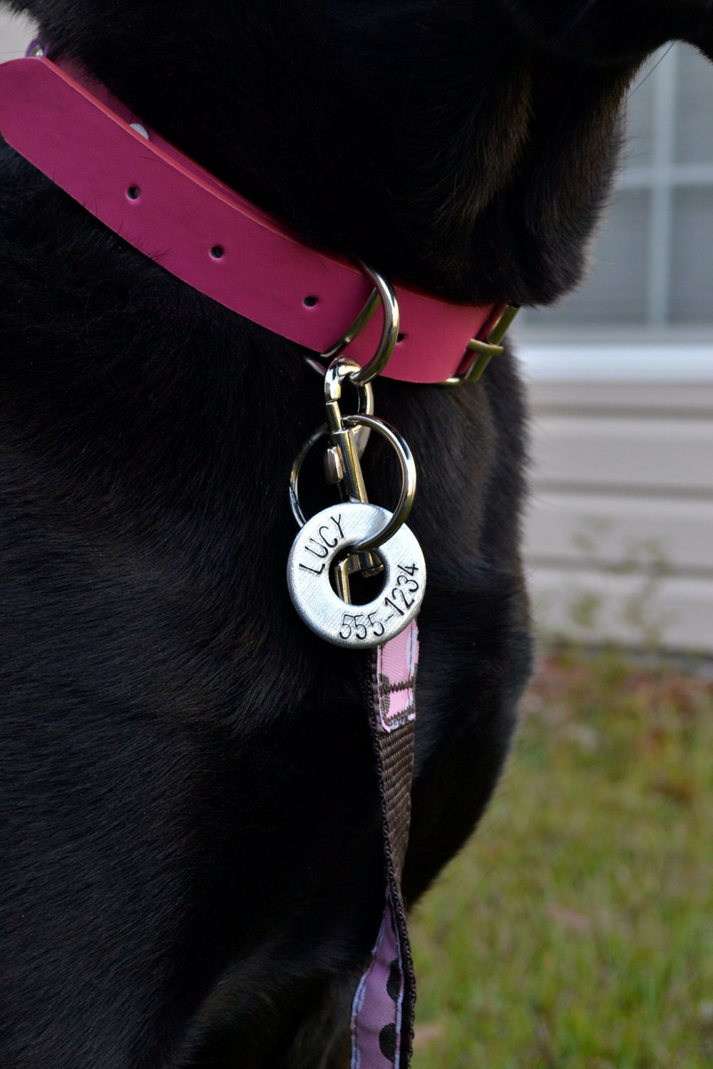 Custom Dog Tag - Handstamped Steel Washer ID for Pets