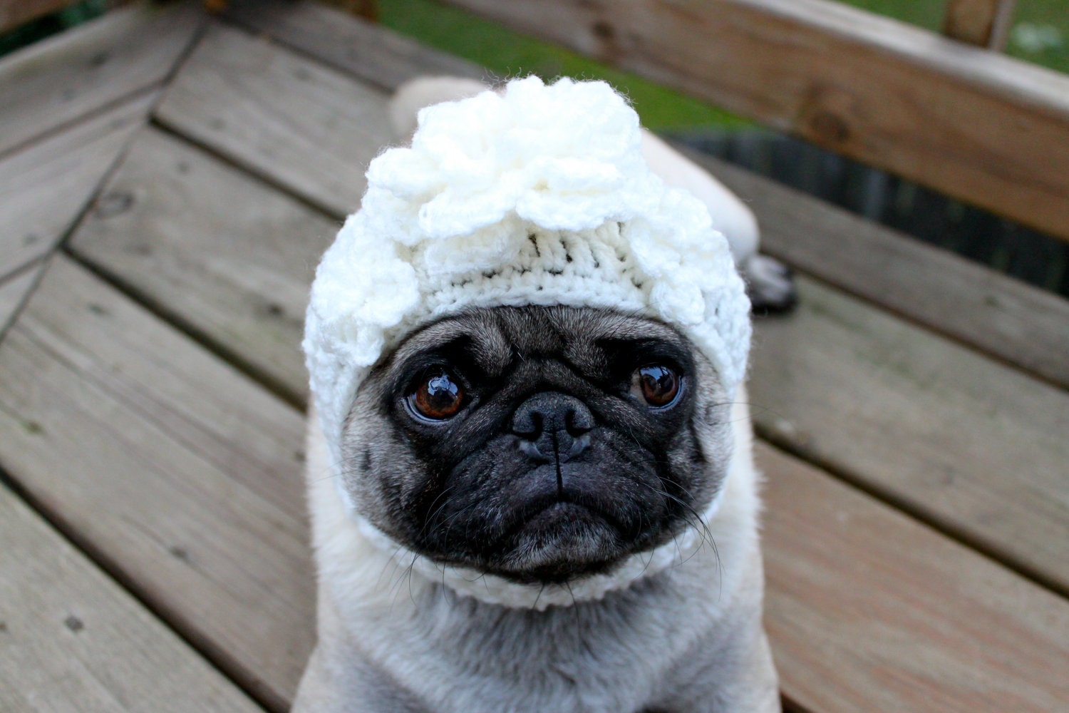 Dog Bride Hat/ Made to Order