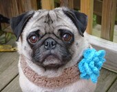 Bloomin' Beauty  Neck Warmer for Dogs - Made To Order