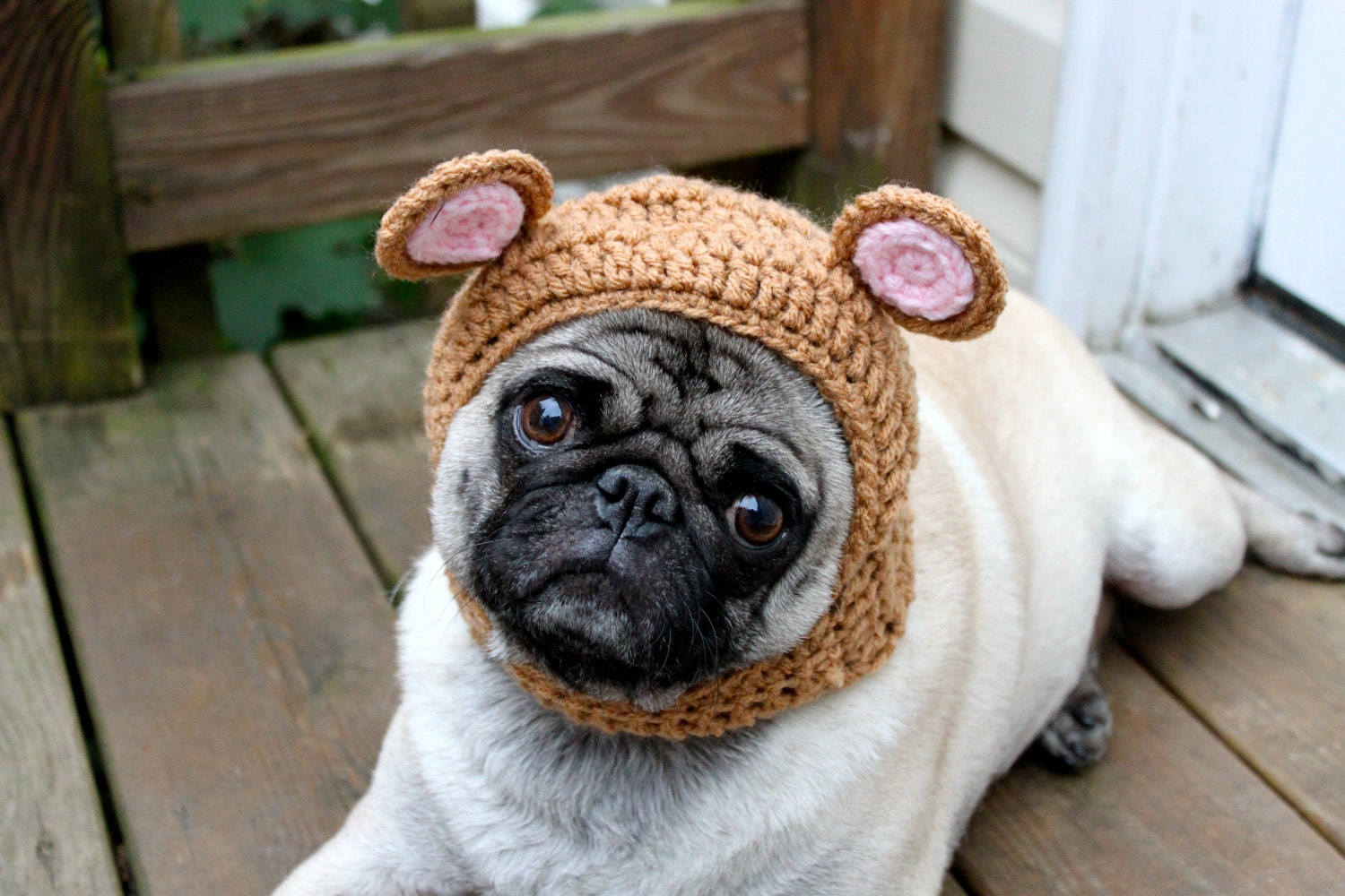 Dog Hat - My Baby Bear Hat/ Made To Order