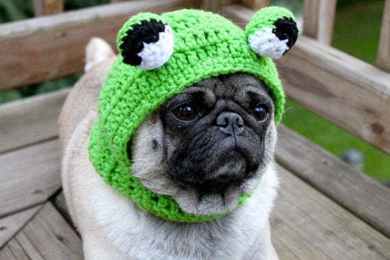 Dog Hat - Big Eye Frog Hat/ Made to Order