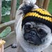Dog Hat - Bumble Bee/ Made to Order