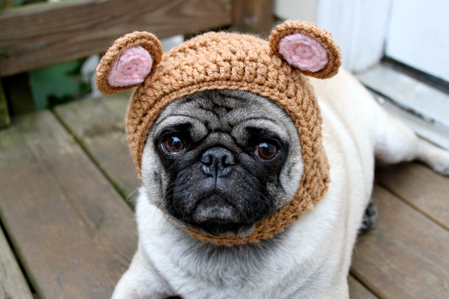 Dog Hat - My Baby Bear Hat/ Made To Order