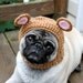 Dog Hat - My Baby Bear Hat/ Made To Order