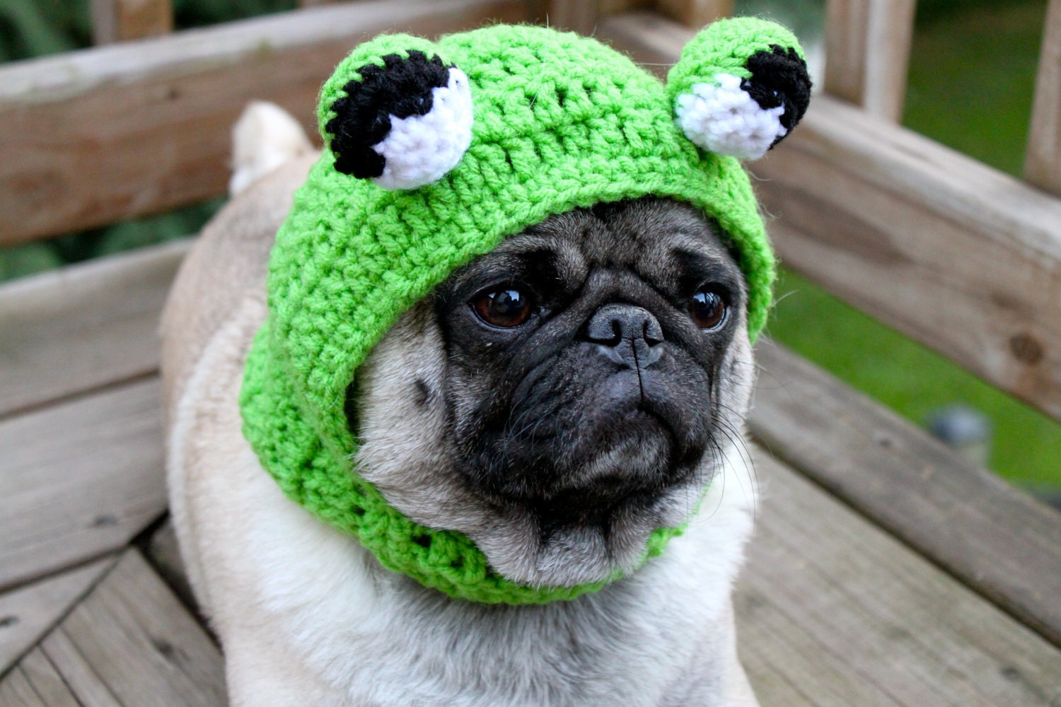 Dog Hat - Big Eye Frog Hat/ Made to Order