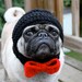 Dog Groom Wedding Hat / Made to Order