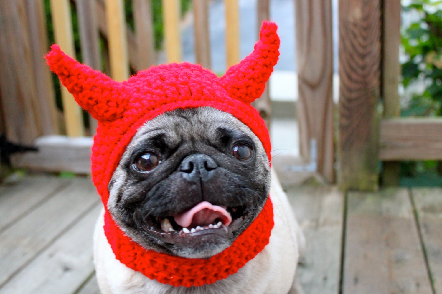 Dog Hat Little Devil / Made to Order