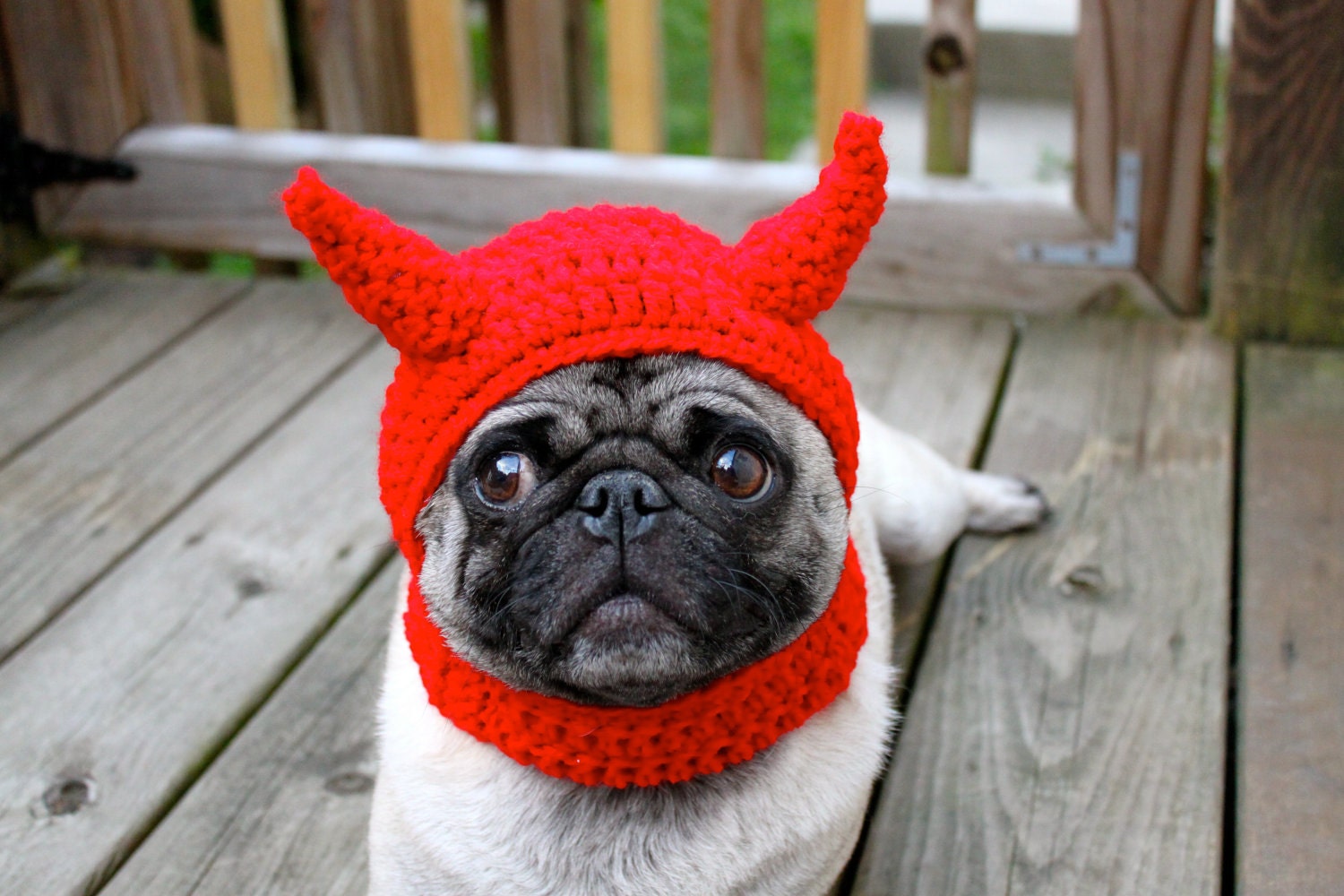 Dog Hat Little Devil / Made to Order