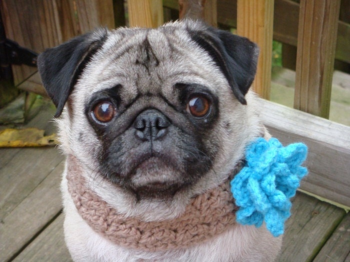 Bloomin' Beauty  Neck Warmer for Dogs - Made To Order