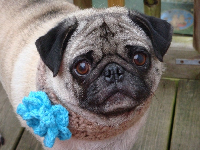 Bloomin' Beauty  Neck Warmer for Dogs - Made To Order