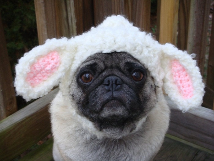 Little Lamb Dog Hat / Made to Order