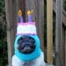 Happy Happy  Birthday Cake Dog Hat / Made To Order