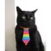 Cat Tie - Rainbow Brite