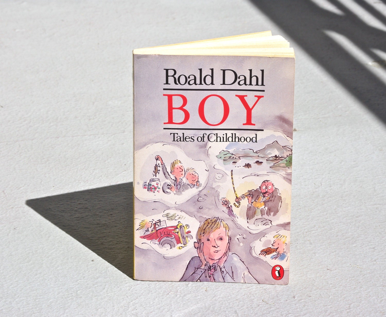 Boy: Tales of Childhood, by Roald Dahl 1991 vintage paperback young adult juvenile stories fun inspiring adventure