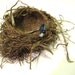 Robins Nest - Birds Not Included
