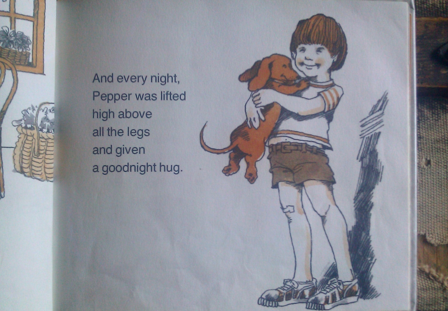 Dachshund Book / Pepper and All The Legs