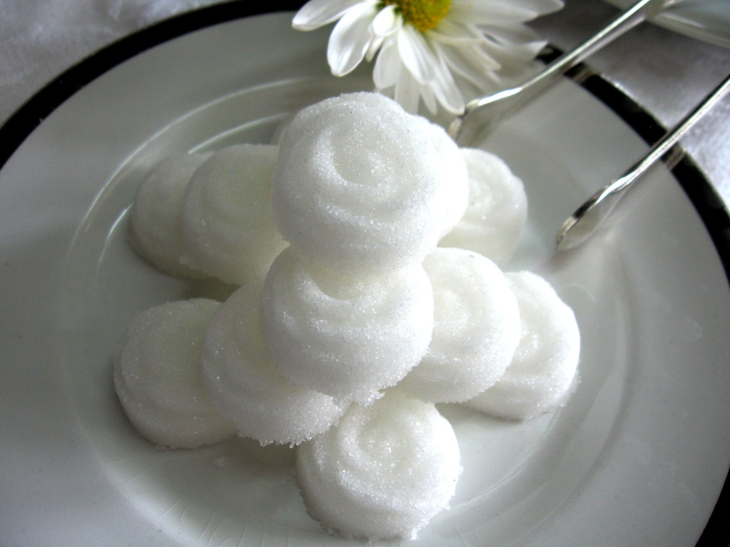 Elegant White Rose Sugar Cubes for Little Tea Parties, Garden Party, Showers, Graduation, Embellishments 3 Dozen