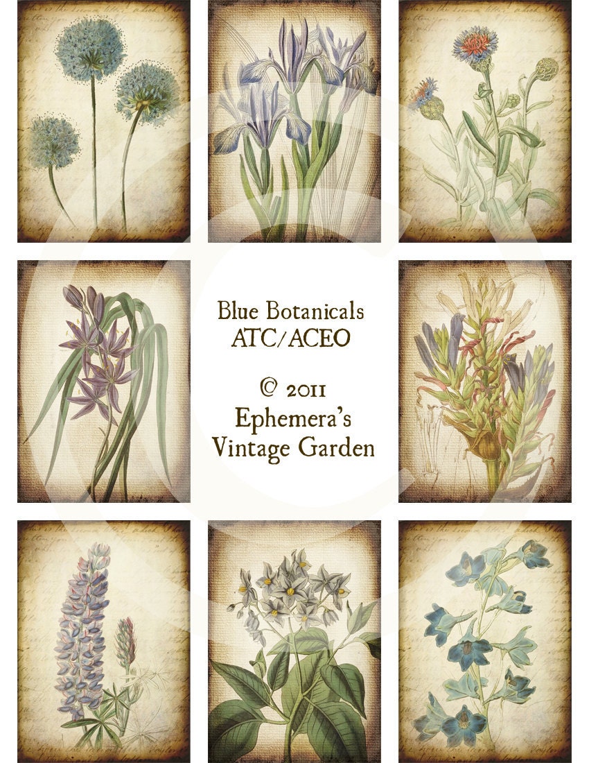 Blue Botanicals ATC/ACEO - Digital Collage Sheet - tattered vintage flowers purple