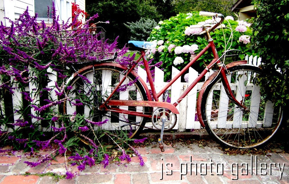 Red Bicycle - 12 x 18 Fine Art Photographic Print - Bike Art