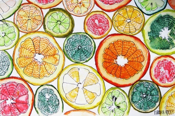 Reproduction Fine Art Print 8.5 x 11- Citrus