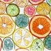 Reproduction Fine Art Print 8.5 x 11- Citrus