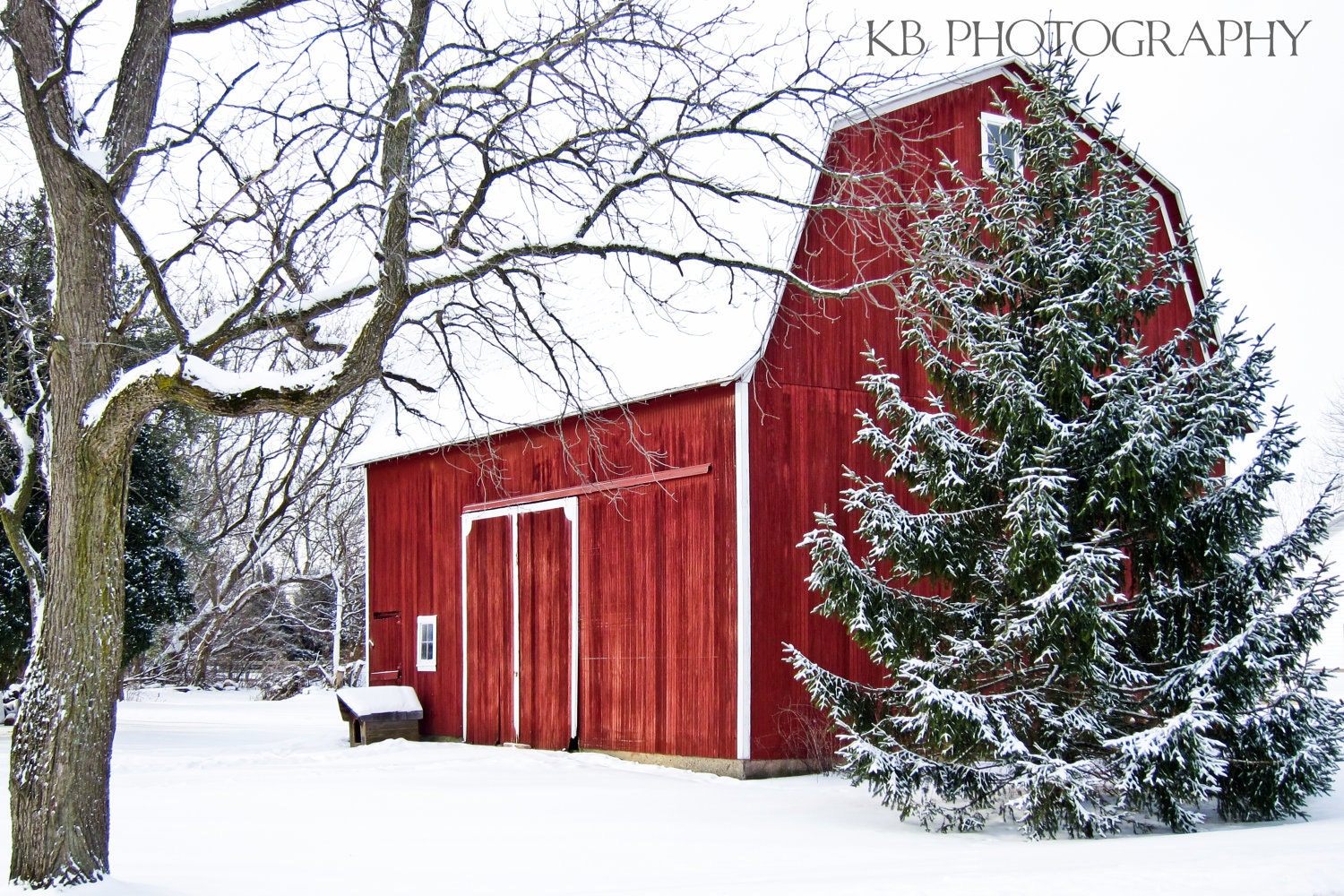 Red Barn in Winter Photograph Home Decor Wall Art - 8x12 fine art print