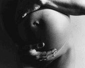 Pregnant Stomach - nancyroberts