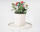 Mid-Century Plant Stand - Off White