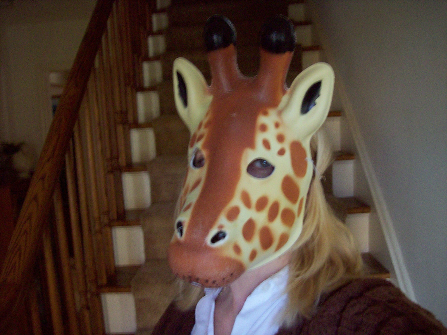 Halloween Giraffe face mask