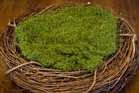 Hand Crocheted Moss Green Blanket Newborn Photography by zaneybaby