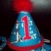 Cat in the Hat Party Hat as shown