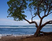 Fine Art Photography 8 x 10 Print - Landscape - Serenity - Home Decor - Gifts Under 50