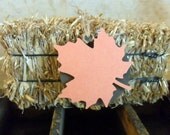 Drink Charms Gift Tags Leaves Leaf Fall Autumn Pumpkin Orange Rustic Country Party Decor Wine Label