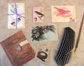Brenda Walton Flora and Fauna Ephemera Pack by K and Company-FREE SHIPPING