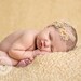 dainty shabby ruffle veil rosette pearl velvet skinny headband in camel (newborn-adult) Photo Prop