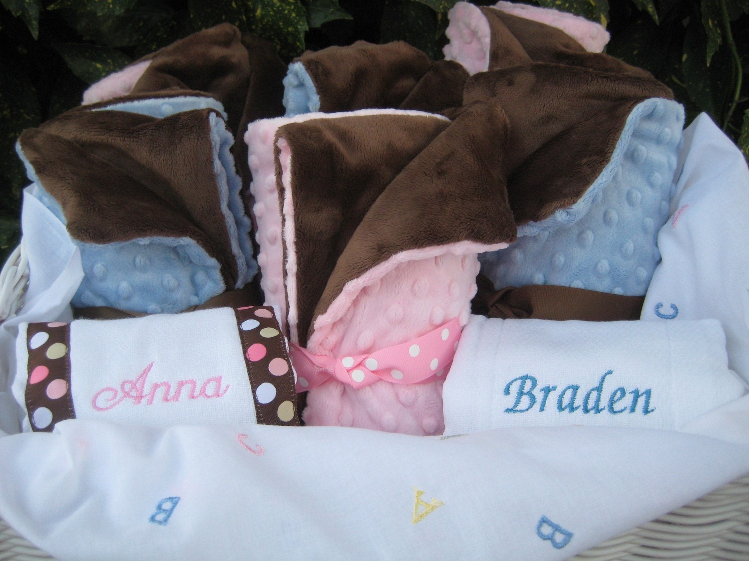 Luxurious Baby Girl Minky Blanket