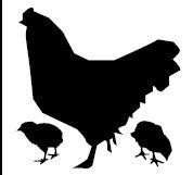 IN STOCK Chicken with Chicks Silhouette in vinyl