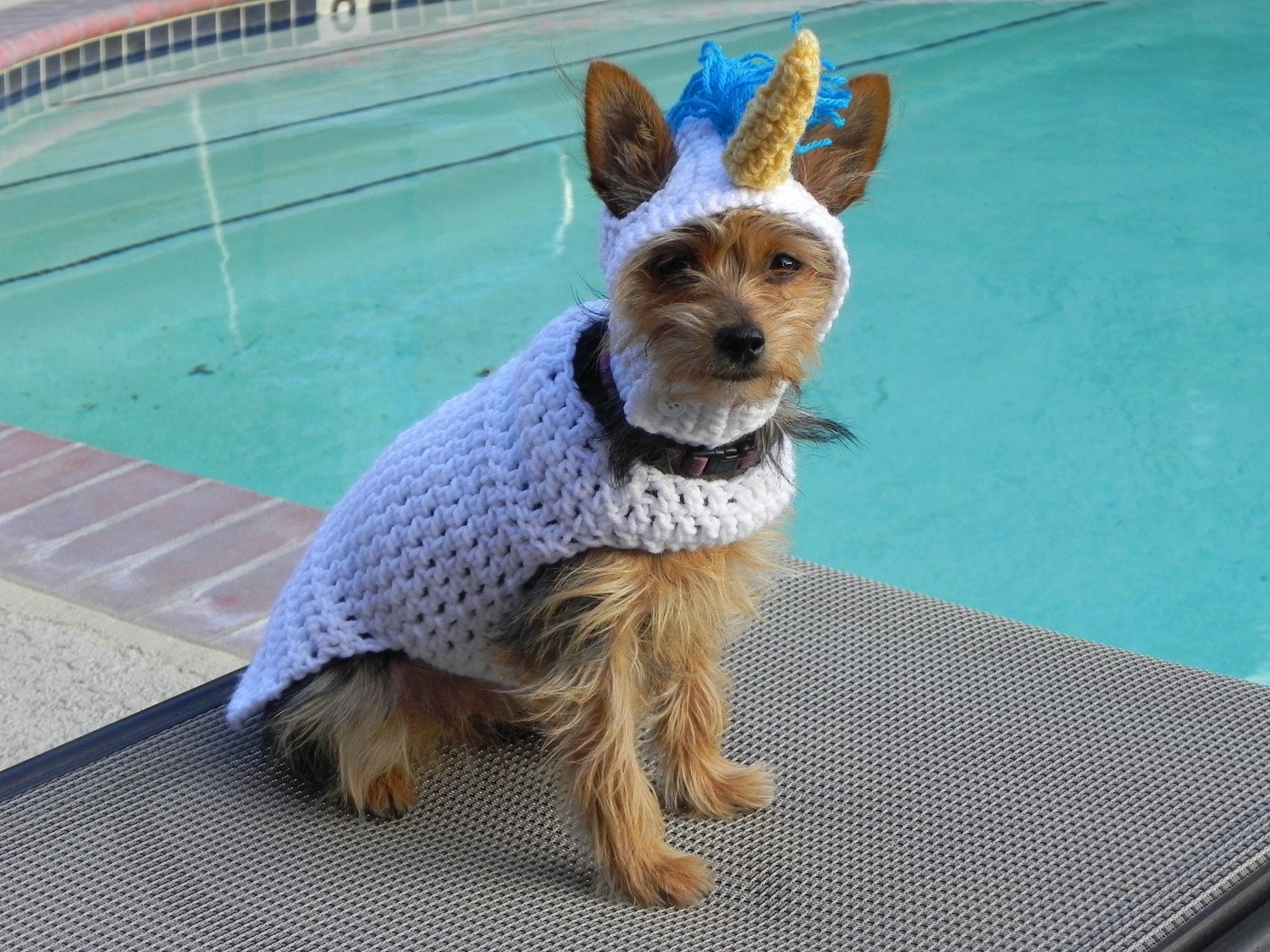 Unicorn Outfit: Handmade Costume For Dogs and Cats