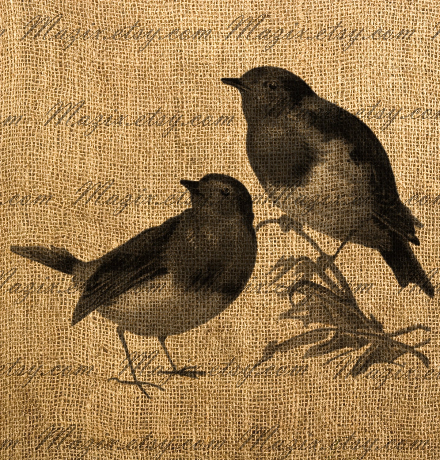 Victorian Birds Bird Digital Image, Download and Print, Great For Image Transfer on Pillows, Tea Towels and more - Style. 334